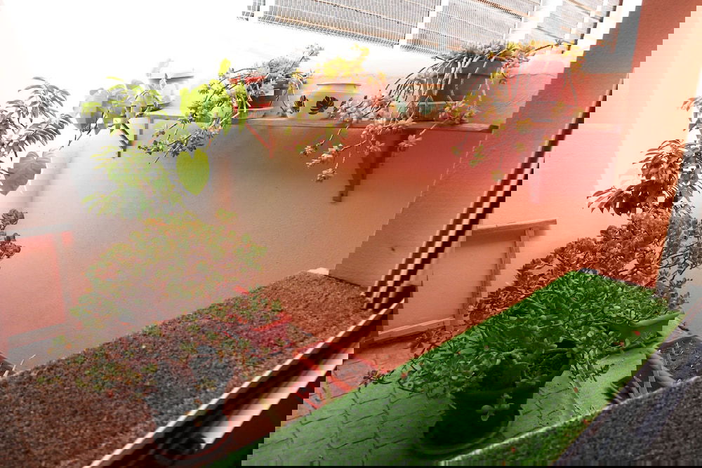 Hotel Happy Room Tenerife