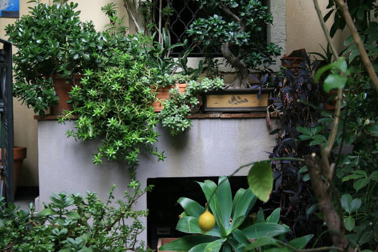 Hotel Casa Barbero B&B