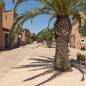 Hotel Aparthotel Ciudad Laurel cazare Cala Millor