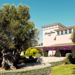 Hotel Cm Mallorca Palace cazare Sa Coma