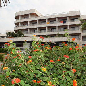 Hotel Serrano Palace cazare Cala Rajada