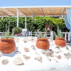 Hotel Tinas Plus Hotel cazare Faliraki