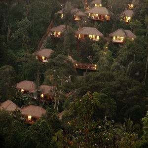 Hotel Nandini Jungle By Hanging Gardens cazare Payangan Tengah