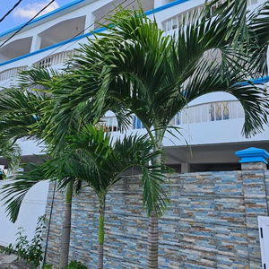 Hotel Lebovallon B&B cazare Mahebourg