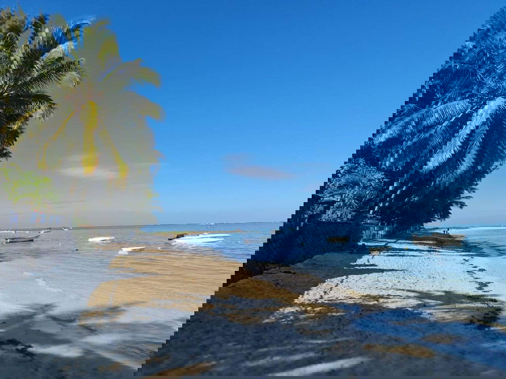 Hotel Rooftop Garden Jacuzzi Luxury Villa