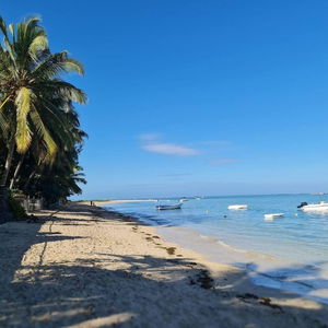 Hotel Rooftop Garden Jacuzzi Luxury Villa cazare Black River