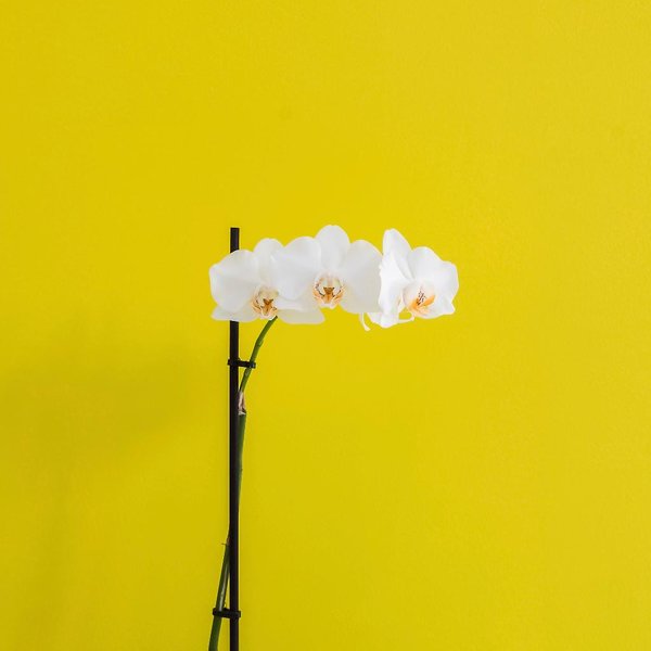 Hotel Iasonos Suites Athens