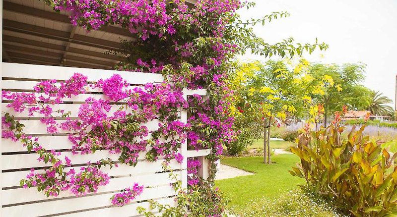 Hotel Ammouda Villas