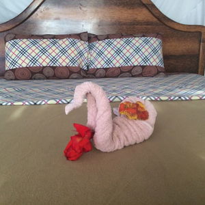 Hotel Aluna cazare Nungwi