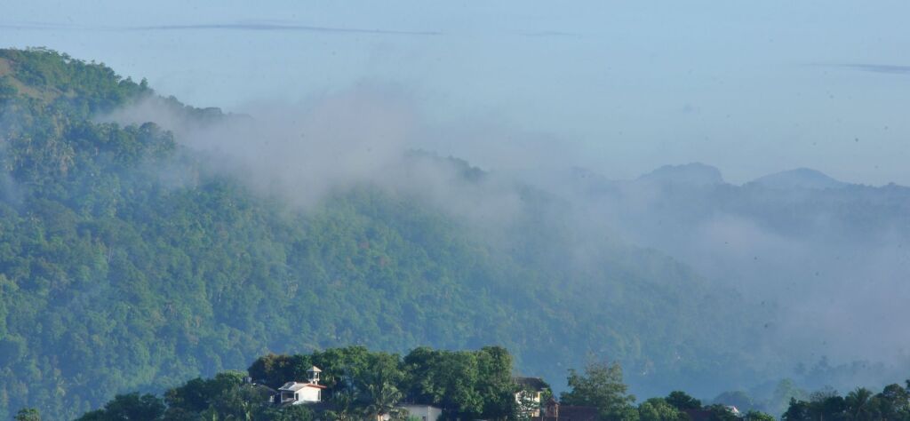 Hotel Primrose Inn Kandy