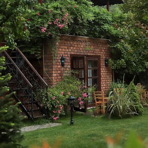 Hotel Tranquilla River Lodge cazare Agva