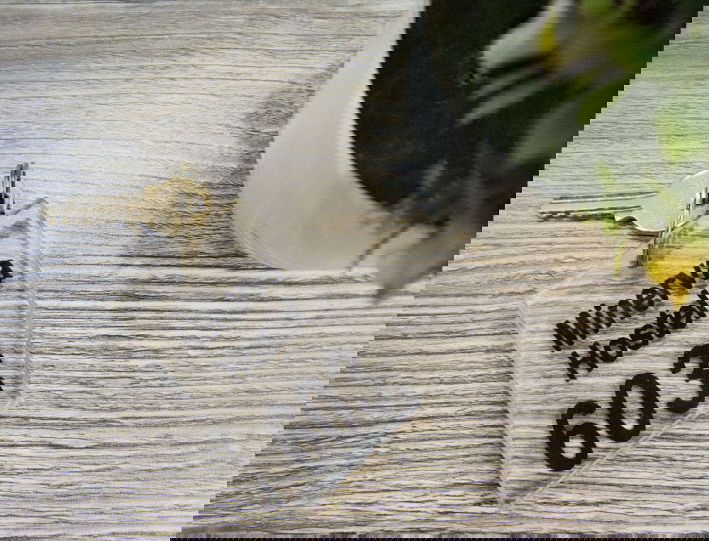 Hotel Minerva Downtown Hostel