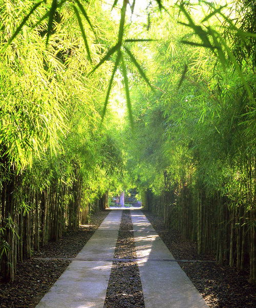 Hotel The Pavilions Bali
