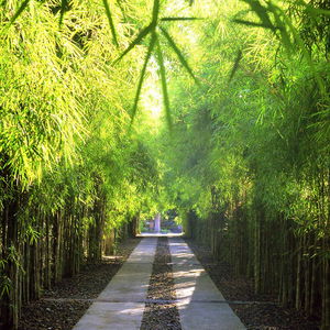 Sejur The Pavilions Bali vacanta Sanur