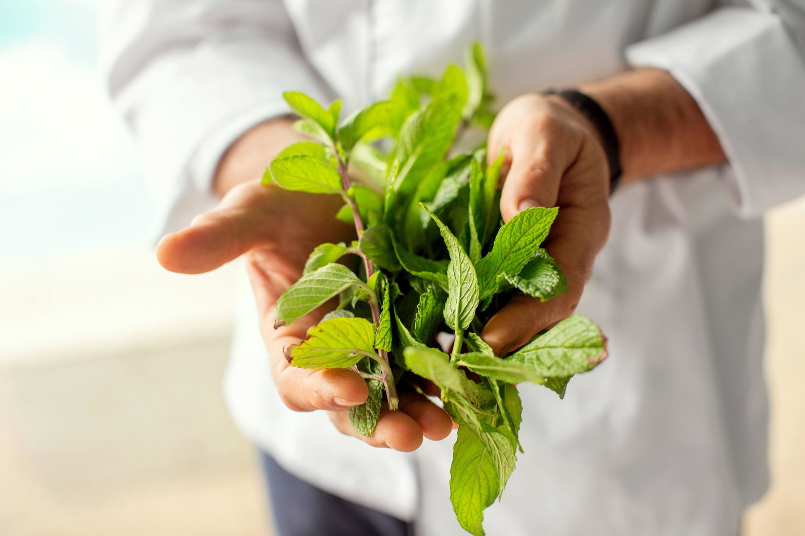 Hotel Hotel Mediterranean Resort