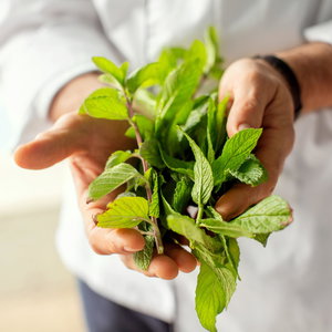 Hotel Hotel Mediterranean Resort cazare Paralia