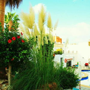 Hotel Villa Columbus cazare Peguera