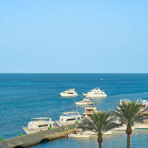 Hotel Hurghada Marriott Beach Resort cazare Hurghada Town