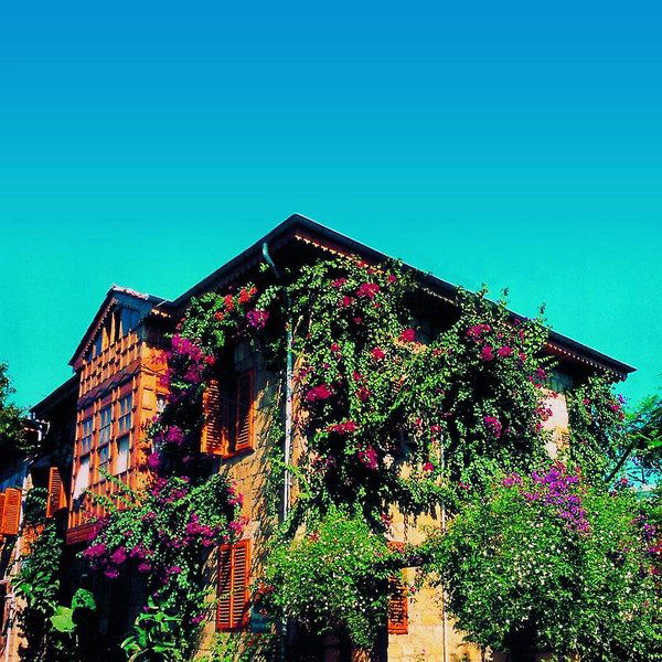 Hotel Begonville Pansiyon