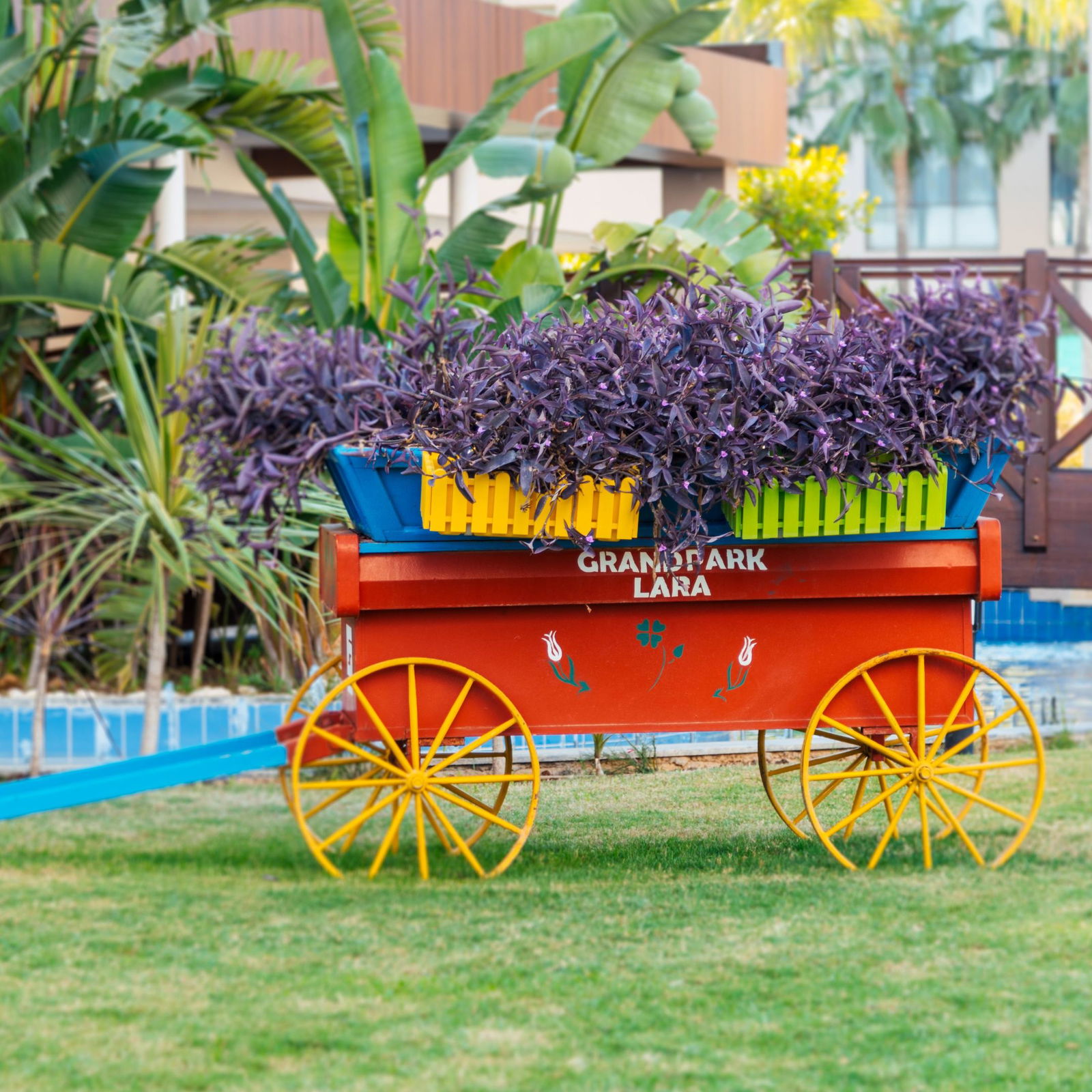 Hotel Grand Park Lara