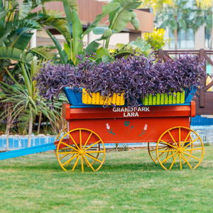 Sejur Grand Park Lara vacanta Lara