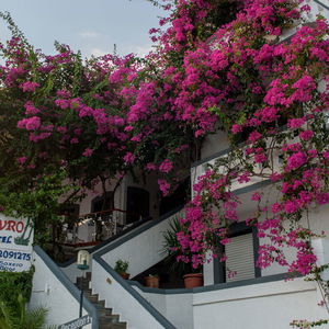 Hotel Fevro cazare Agia Galini