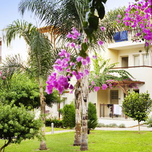 Hotel Louis Althea Beach cazare Protaras