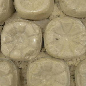 Sejur Habibis Bottle House vacanta Zanzibar Island