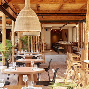 Hotel The Syntopia cazare Adelianos Kampos