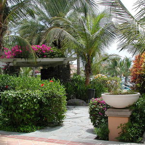 Hotel Palm Oasis Maspalomas cazare Maspalomas