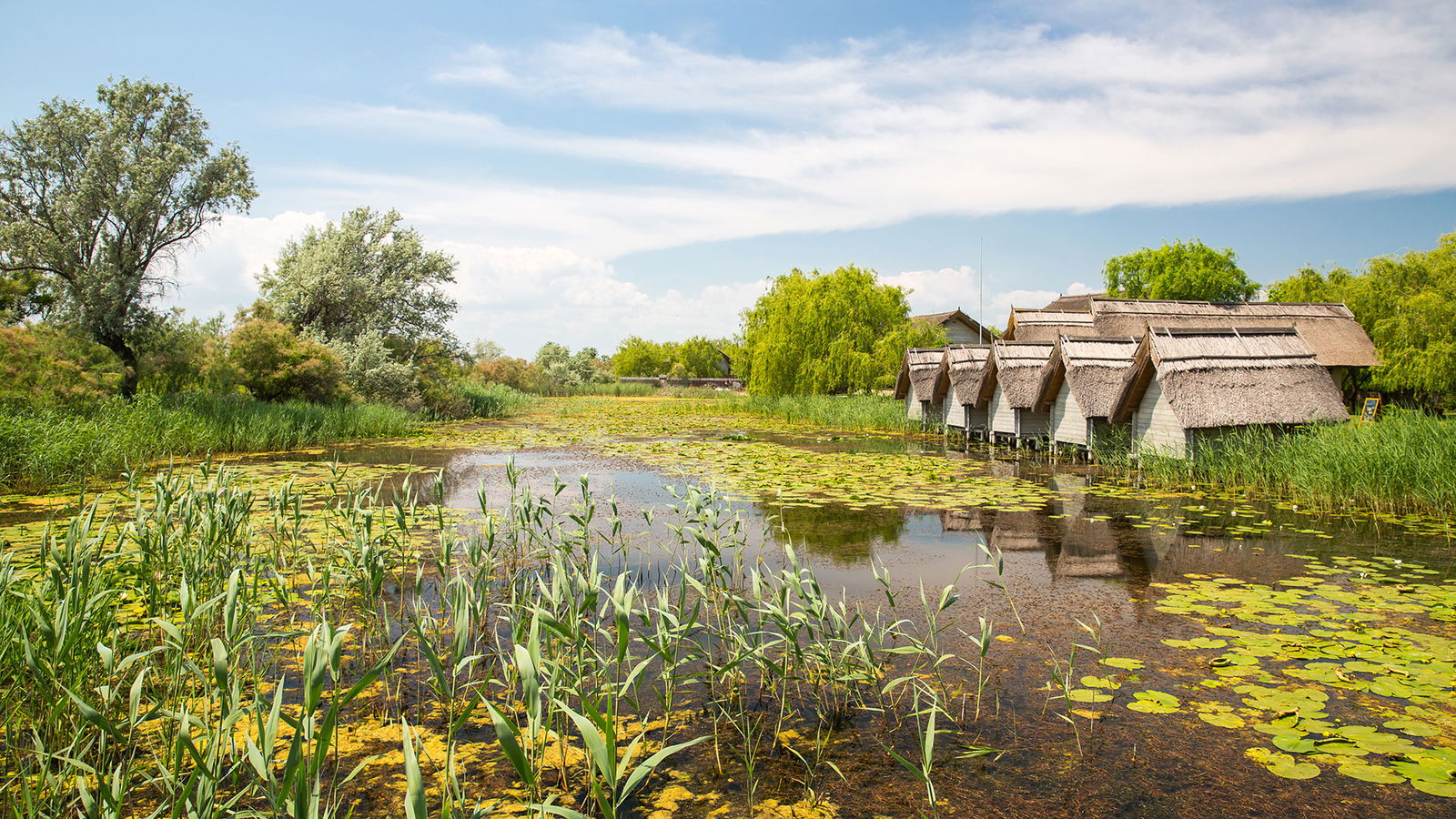Calatorii in Crisan - Cazare, Sejururi, Circuite