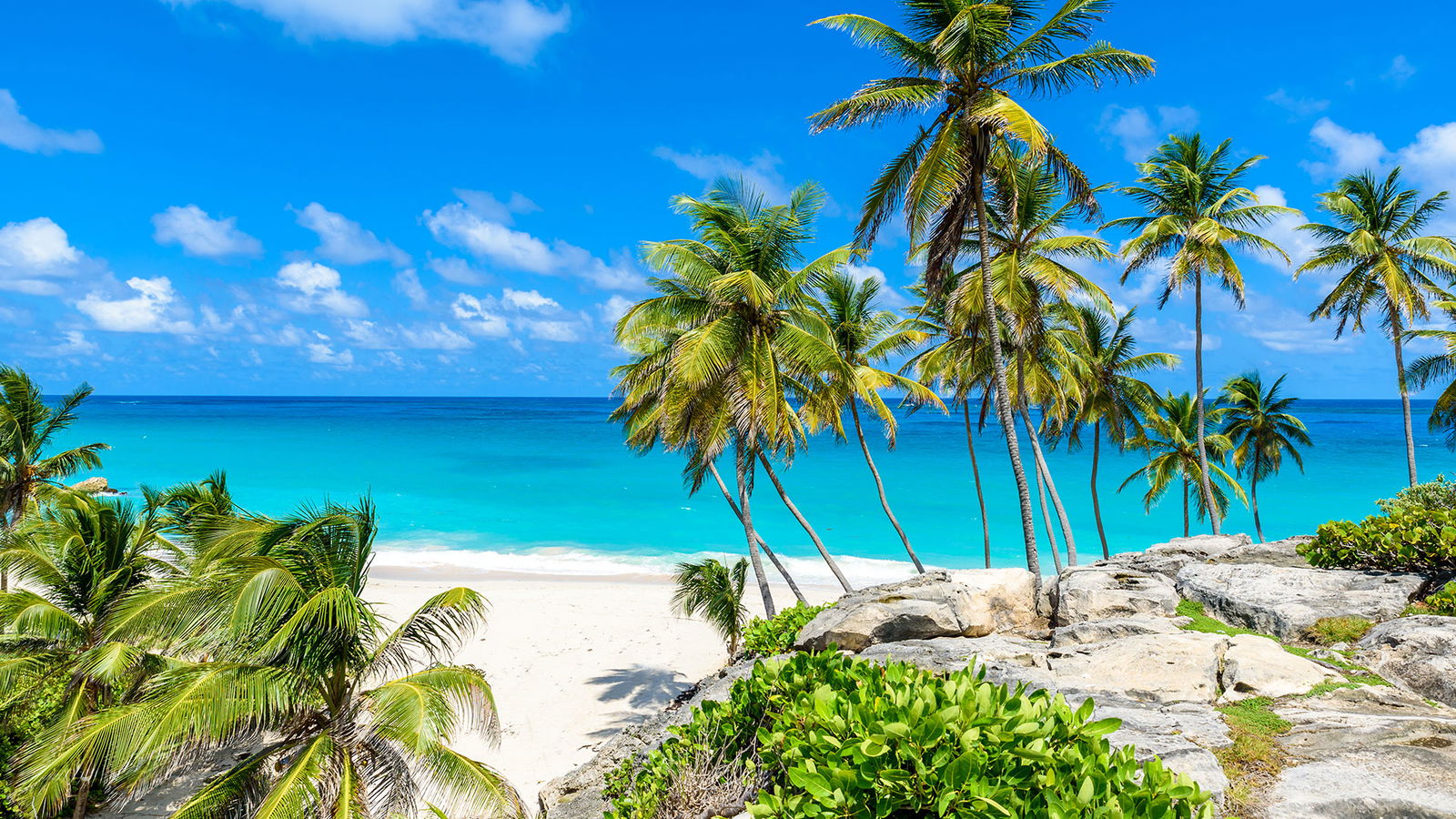 Calatorii in Crane - Cazare, Sejururi, Circuite